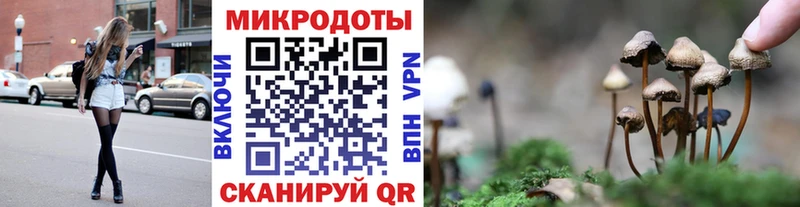 Галлюциногенные грибы прущие грибы  Нестеров 